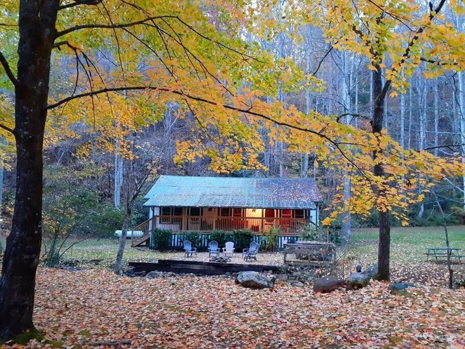 Вілла Creekside 1920'S Farmhouse Брайсон-Сіті Екстер'єр фото